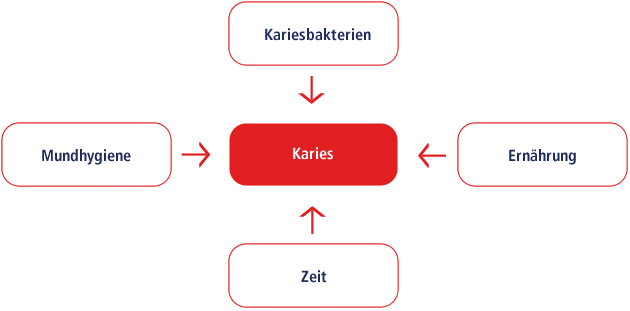 Ursachen von Karies